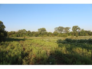 Tract 7 - Stillwater, OK farmland - EXCITING LAND AUCTION! - 128 +/- ACRES OFFERED IN 7 TRACTS OFF HIGHWAY 51 IN STILLWATER, OKLAHOMA